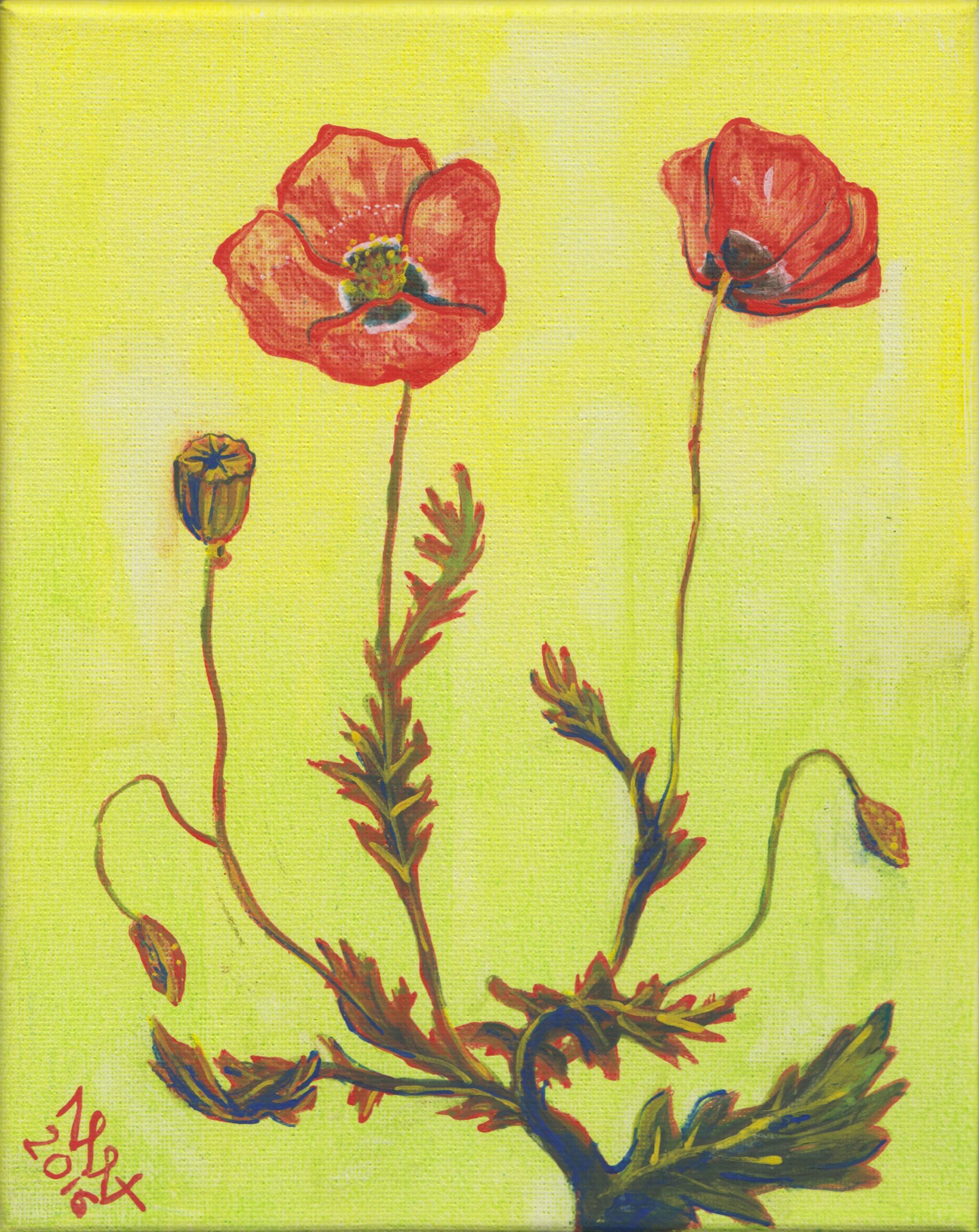 Fiori di campo